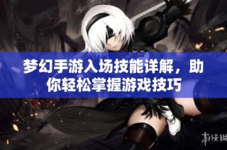 梦幻手游入场技能详解，助你轻松掌握游戏技巧