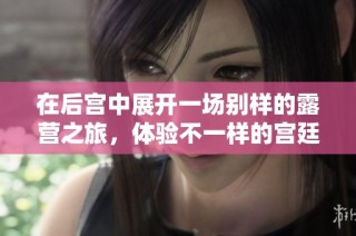 在后宫中展开一场别样的露营之旅，体验不一样的宫廷生活