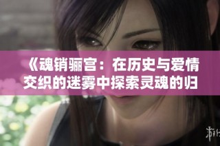 《魂销骊宫：在历史与爱情交织的迷雾中探索灵魂的归宿》