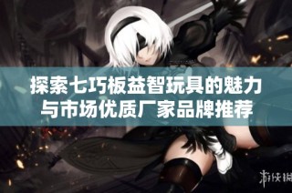 探索七巧板益智玩具的魅力与市场优质厂家品牌推荐