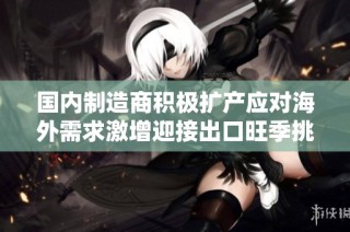 国内制造商积极扩产应对海外需求激增迎接出口旺季挑战