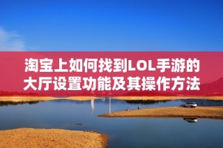 淘宝上如何找到LOL手游的大厅设置功能及其操作方法