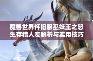 魔兽世界怀旧服巫妖王之怒生存猎人宏解析与实用技巧分享