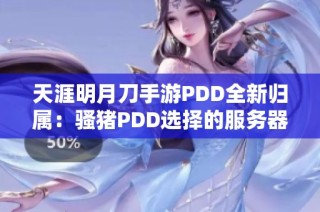 天涯明月刀手游PDD全新归属：骚猪PDD选择的服务器揭秘