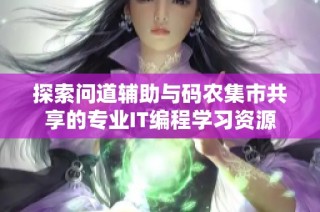 探索问道辅助与码农集市共享的专业IT编程学习资源