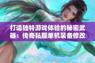 打造独特游戏体验的秘密武器：传奇私服单机装备修改探秘