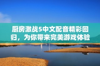 厨房激战5中文配音精彩回归，为你带来完美游戏体验