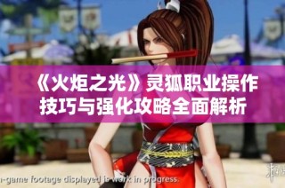 《火炬之光》灵狐职业操作技巧与强化攻略全面解析