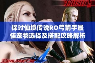 探讨仙境传说RO弓箭手最佳宠物选择及搭配攻略解析