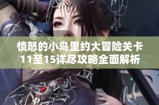 愤怒的小鸟里约大冒险关卡11至15详尽攻略全面解析