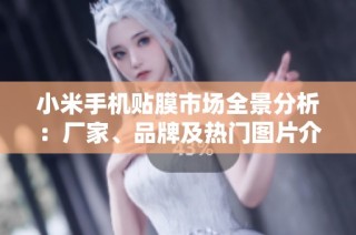 小米手机贴膜市场全景分析：厂家、品牌及热门图片介绍