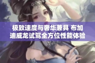 极致速度与奢华兼具 布加迪威龙试驾全方位性能体验分享