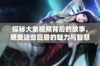 探秘大象视频背后的故事，感受这些巨兽的魅力与智慧