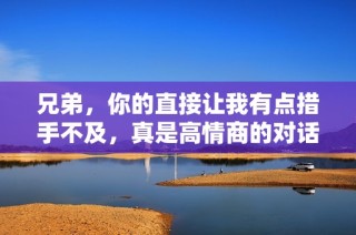 兄弟，你的直接让我有点措手不及，真是高情商的对话