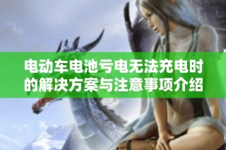 电动车电池亏电无法充电时的解决方案与注意事项介绍