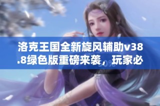 洛克王国全新旋风辅助v38.8绿色版重磅来袭，玩家必备利器！