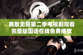 勇敢无畏第二季电视剧观看完整版国语在线免费播放