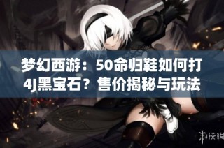 梦幻西游：50命归鞋如何打4J黑宝石？售价揭秘与玩法详解