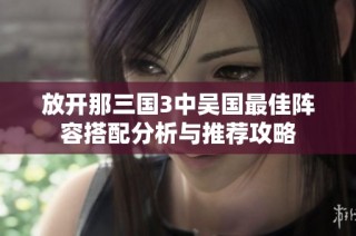 放开那三国3中吴国最佳阵容搭配分析与推荐攻略