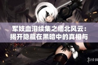 军妓血泪续集之缅北风云：揭开隐藏在黑暗中的真相与勇气