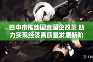 巴中市推动国资国企改革 助力实现经济高质量发展新阶段