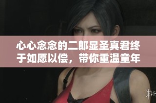 心心念念的二郎显圣真君终于如愿以偿，带你重温童年回忆