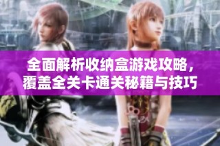 全面解析收纳盒游戏攻略，覆盖全关卡通关秘籍与技巧分享
