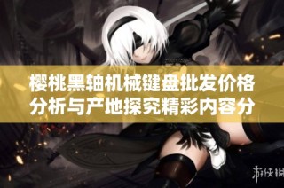 樱桃黑轴机械键盘批发价格分析与产地探究精彩内容分享