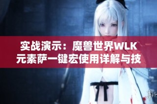 实战演示：魔兽世界WLK元素萨一键宏使用详解与技巧分享