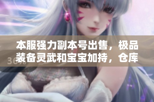 本服强力副本号出售，极品装备灵武和宝宝加持，仓库四级三重配置