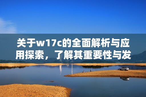 关于w17c的全面解析与应用探索，了解其重要性与发展潜力