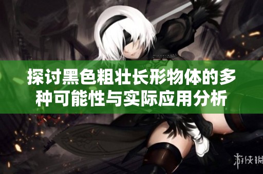探讨黑色粗壮长形物体的多种可能性与实际应用分析