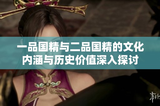 一品国精与二品国精的文化内涵与历史价值深入探讨