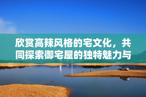 欣赏高辣风格的宅文化，共同探索御宅屋的独特魅力与体验