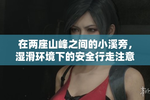 在两座山峰之间的小溪旁，湿滑环境下的安全行走注意要点与建议
