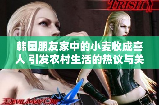 韩国朋友家中的小麦收成喜人 引发农村生活的热议与关注