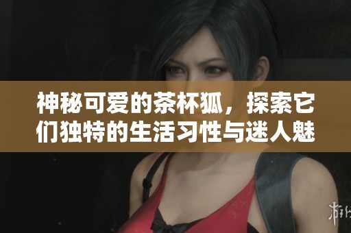 神秘可爱的茶杯狐，探索它们独特的生活习性与迷人魅力