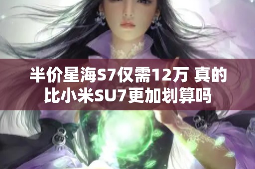 半价星海S7仅需12万 真的比小米SU7更加划算吗