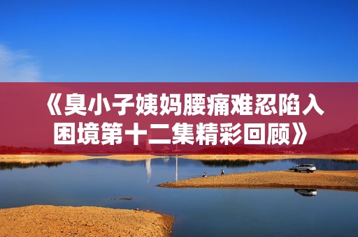 《臭小子姨妈腰痛难忍陷入困境第十二集精彩回顾》