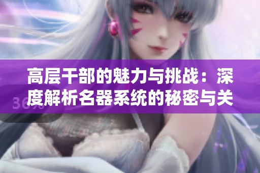 高层干部的魅力与挑战：深度解析名器系统的秘密与关系网
