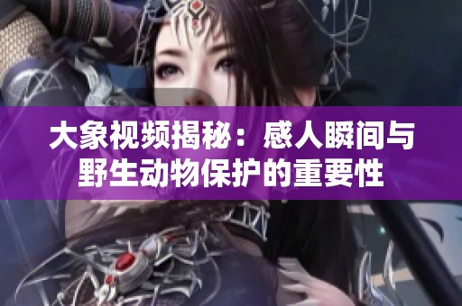 大象视频揭秘：感人瞬间与野生动物保护的重要性
