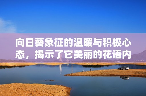 向日葵象征的温暖与积极心态，揭示了它美丽的花语内涵
