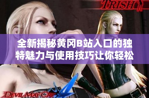 全新揭秘黄冈B站入口的独特魅力与使用技巧让你轻松上手