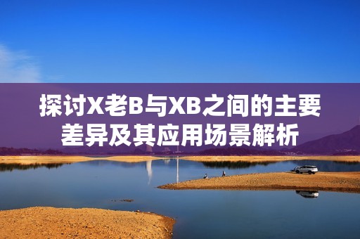 探讨X老B与XB之间的主要差异及其应用场景解析