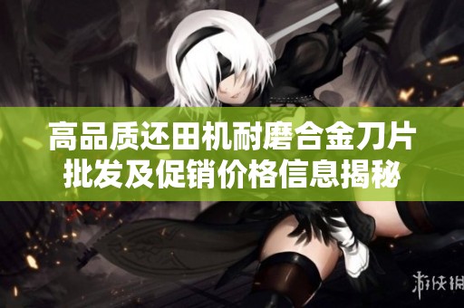 高品质还田机耐磨合金刀片批发及促销价格信息揭秘