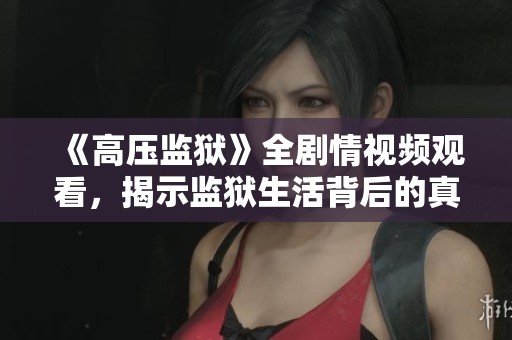 《高压监狱》全剧情视频观看，揭示监狱生活背后的真实与挑战