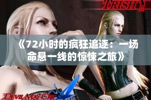 《72小时的疯狂追逐：一场命悬一线的惊悚之旅》