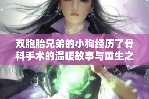 双胞胎兄弟的小狗经历了骨科手术的温暖故事与重生之旅