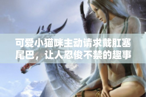 可爱小猫咪主动请求戴肛塞尾巴，让人忍俊不禁的趣事