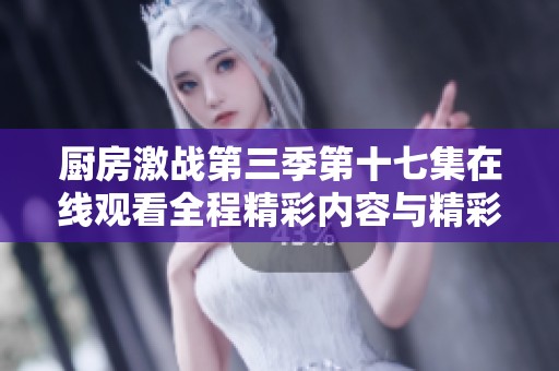 厨房激战第三季第十七集在线观看全程精彩内容与精彩瞬间回顾